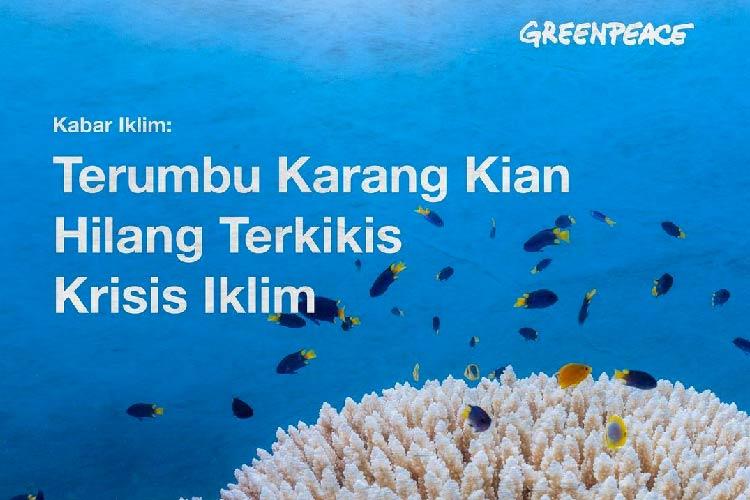 5 Rekomendasi NGO yang Bisa Kamu Pilih Saat Ingin Jadi Relawan