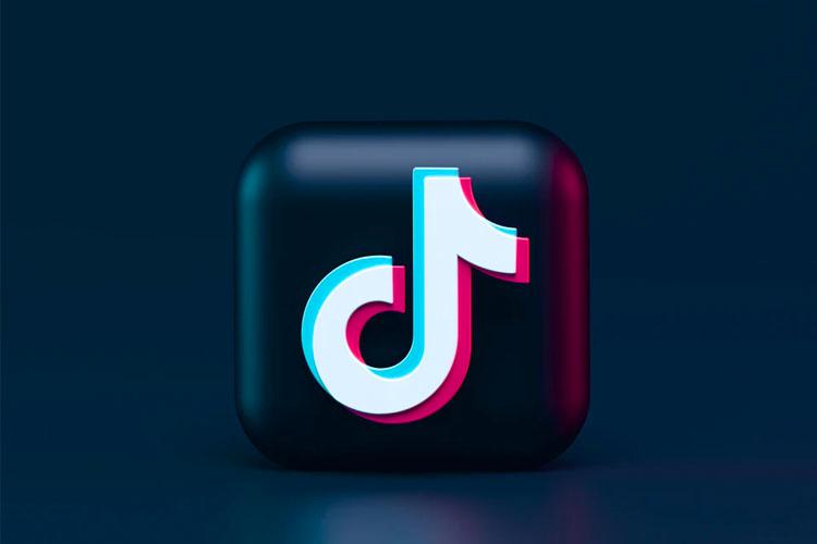 Cara Download Video TikTok Tanpa Watermark di SSSTikTok