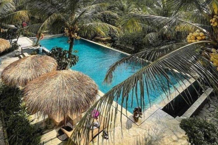 5 Rekomendasi Staycation dengan Private Pool di Bogor