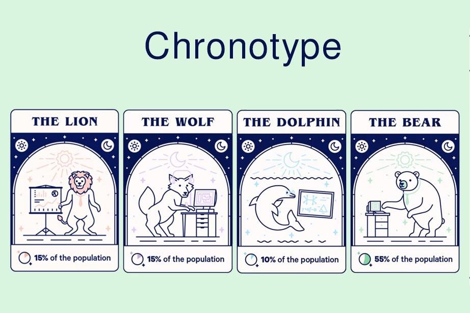 Identifikasi Chronotype Diri untuk Meningkatkan Produktivitas