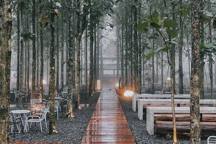 Rekomendasi Cafe dan Resto Aesthetic Untuk Kencan di Bogor