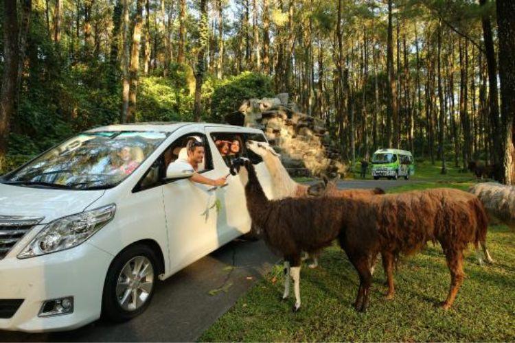 Rekomendasi Tempat Wisata di Bogor Untuk Liburan Tahun Baru