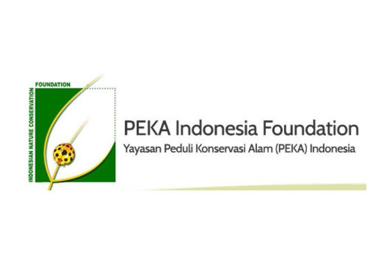 Rekomendasi NGO Pecinta Lingkungan di Indonesia