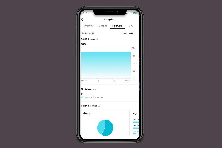 Cara Membaca Analitik TikTok di 2023
